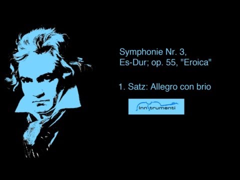 Beethoven - Allegro con brio * Tiroler Kammerorchester Innstrumenti
